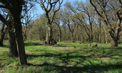 Hertford Heath