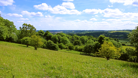 Aldbury Nowers