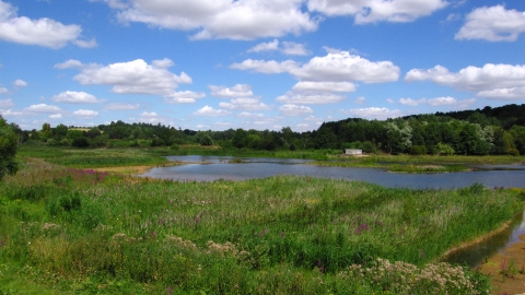 Amwell Nature Reserve