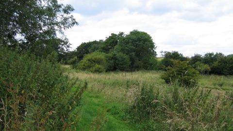 Blagrove Common Nature Reserve