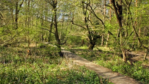 Danemead Nature Reserve 