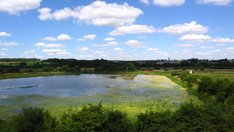 King's Mead Nature Reserve