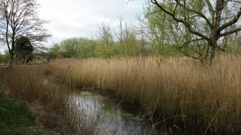 Oughtonhead Nature Reserve