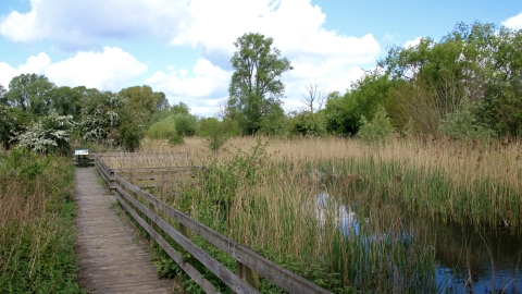 Purwell Ninesprings Nature Reserve