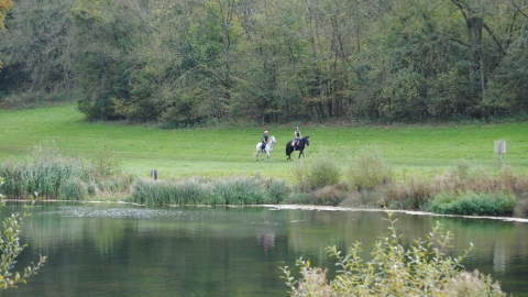 Panshanger Park Horse Park and Ride