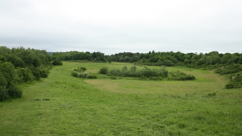 Waterford Heath Nature Reserve