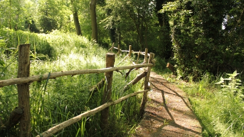 Willowmead Nature Reserve 