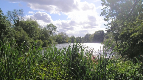 Broad Colney Lakes