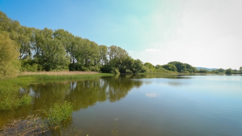 Tring Reservoirs - Wilstone