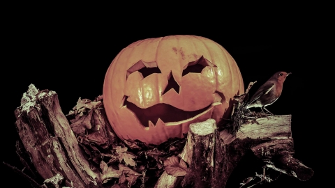 Halloween Pumpkin