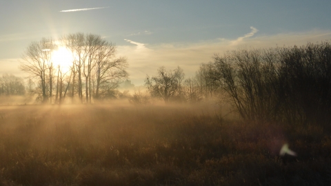 Thorley Wash