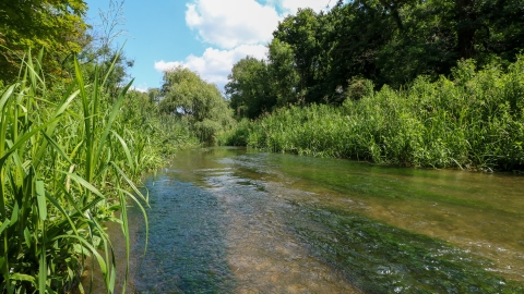 Cassiobury Park