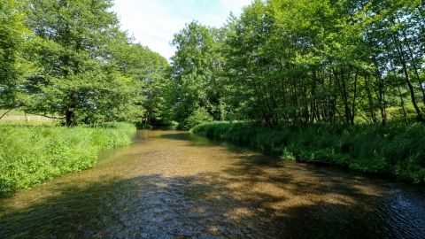 Tewinbury Nature Reserve