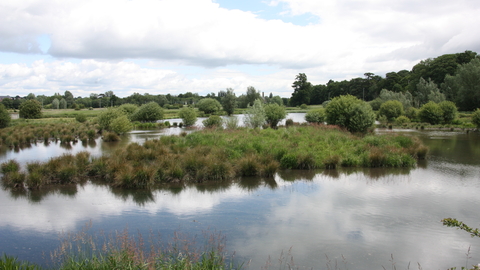 King's Meads Nature Reserve