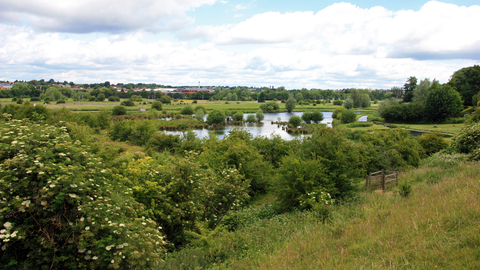 King's Meads Nature Reserve