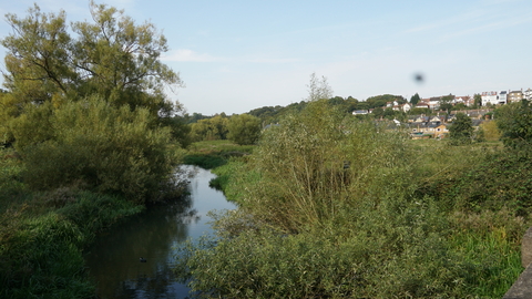 Beane Marsh and River Beane