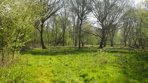 Danemead Nature Reserve