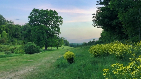 Long Deans Nature Reserve