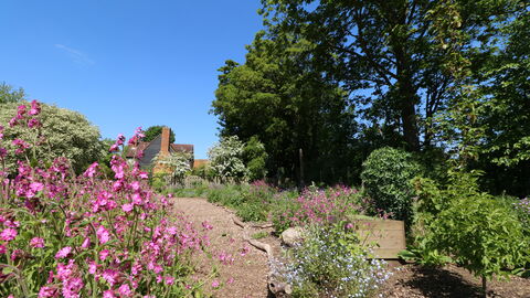 Grebe House Wildlife Garden, Josh Kubale