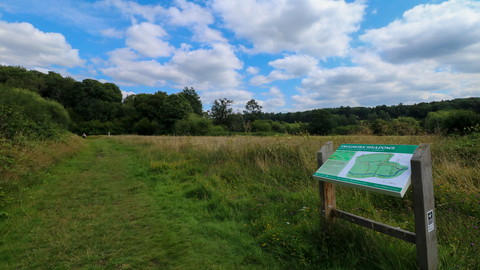 Frogmore Meadows