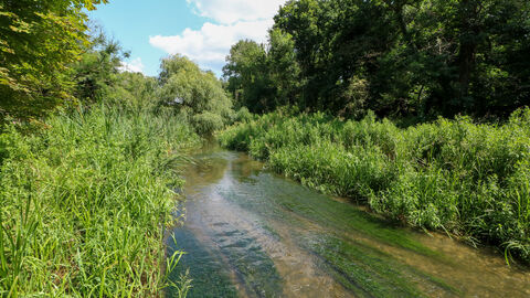 Cassiobury Park Nature Reserve