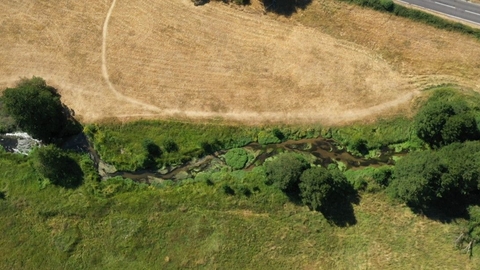 Birdseye view of Archer's Green nature reserve: the river Mimram can be seen horizontally bisecting the photo, in the bottom half is a green meadow, the top half is dry brown grass. The banks of the river are greenest and there are trees dotted along its length.