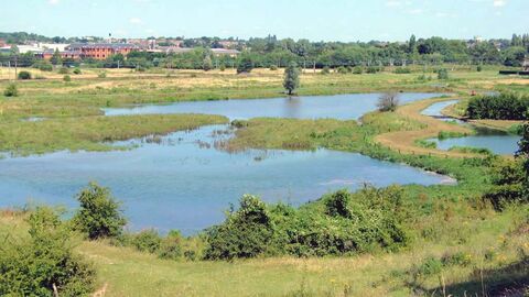 Bird's eye view of King's Meads Nature Reserve on a sunny day