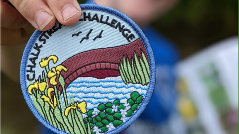 Close up of a Chalk Stream Challenge badge (embroidered river going under a bridge with yellow Irises on the banks) being held by a child who is out of focus
