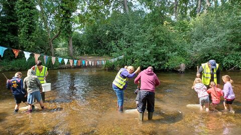 Stream dipping at Stanborough Park