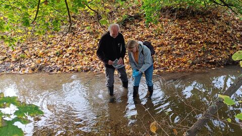 Volunteers collecting eDNA samples