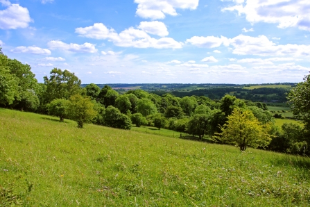 Aldbury Nowers