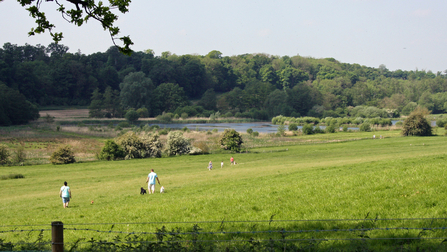 Panshanger Park Landscape