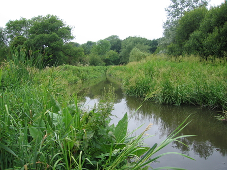 Cassiobury Park Local Nature Reserve