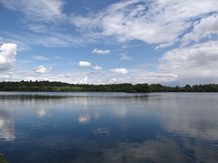 Broadwater Lake Nature Reserve