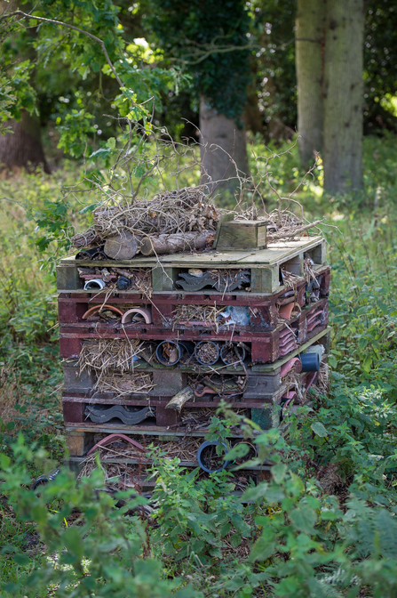How to make a bug home