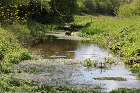 Lemsford Springs Nature Reserve