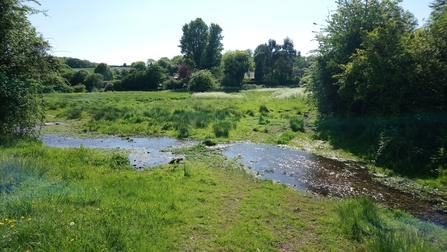 River Gade, Gt Gaddesden