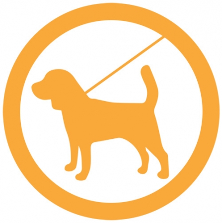 Dog sign - orange