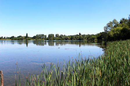 Hilfield Park Reservoir