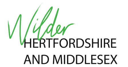 Wilder Herts and Middlesex