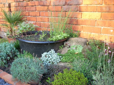 Small tub pond