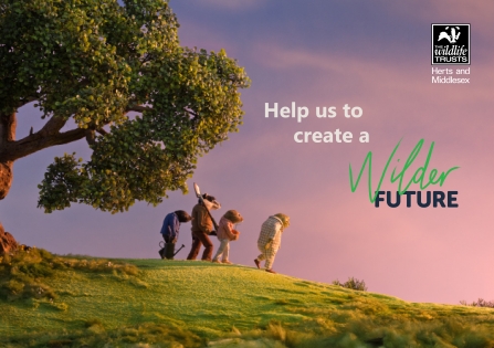 Wilder Future postcard front