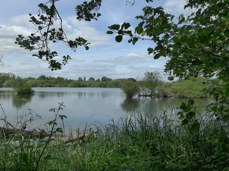 Stocker's Lake