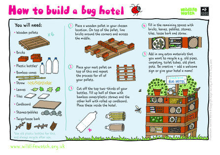 A guide to building a bug hotel by stacking bricks, wooden planks, twigs and other material