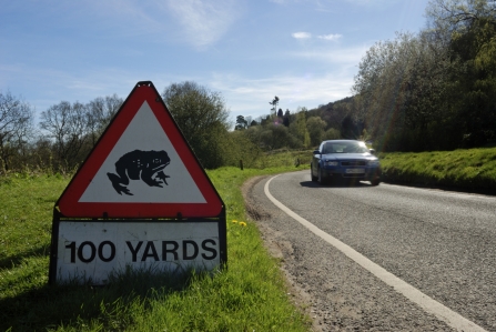 Toad crossing sign with road and car in background