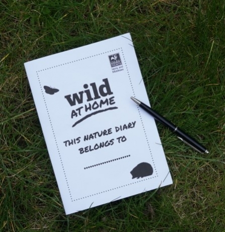 Wild At Home - Nature Diary