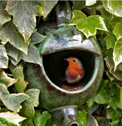 Robin in teapot nest