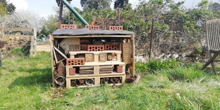 Bug Hotel