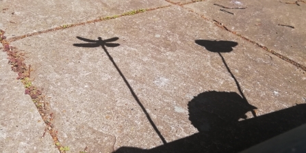 Shadow theatre silhouette