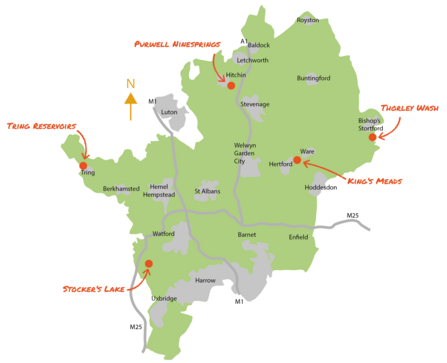 Wild Child - Easter Activity Map